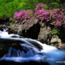 산골짜기 이미지