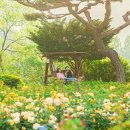 (주)천본