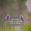 오늘도좋은날
