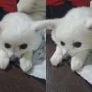 제임스 펜션 이미지