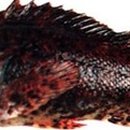 광성민박 이미지