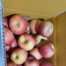 신북농장 이미지