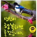 활인검(活人劍) 이미지