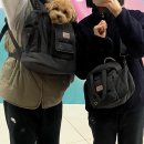 텐마일 이미지