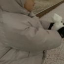 갓식빵동대구이안점