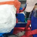 주문진활어회센타 이미지