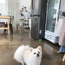 크리점빵 이미지