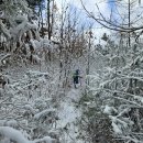 봉길농장 이미지