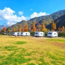 평화오토 | 화천 캠핑장 주말 3만원 반려견 동반 평화의댐 오토캠핑장