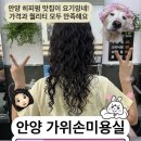 덕천초등학교 | 안양 히피펌 후기 (가위손미용실)｜긴머리 12만원에 인생펌 찾음