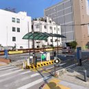 탑애견 강아지 고양이 대전점 이미지