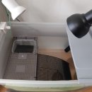 거북이집 이미지