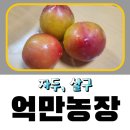 억만농장 이미지