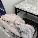 진영3호 이미지