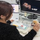 녹십자동물병원 이미지