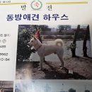 80년후반 이미지