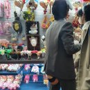 나루무인텔 | 서울 찍먹 ٩( ᐛ )و