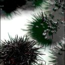 대련주유소 이미지