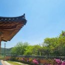 칠불암한옥펜션 | 경주가성비숙소 수영장있는 칠불암 한옥펜션 분황사방 내돈내산 후기!