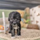 이아이앤테리어 이미지