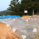 수촌리 고분군 이미지