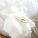 노리댕댕 이미지