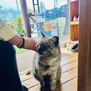 청룡호선장네집 이미지