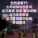 인천원예농협 앞 횡단보도 | 인천공항T1 24시 스카이허브라운지, 싱가포르 경유 발리, 싱가포르 레이오버 후기 sq605,sq934,sq937,sq608