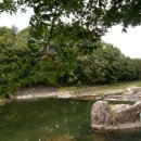 꿀돼지하우스민박 이미지