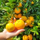 체험농장 민박 이미지