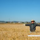 황금뜰농장 이미지