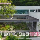 사윤스튜디오 | 내 새끼의 연애 3회 다시보기 탁수 수완 선준 사윤 김대희 전희철딸 안유성아들