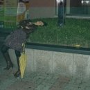 아브라카다브라 이미지