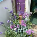 금학갈비 이미지