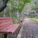 맑은우정은 절대로 싸움닭 아닙니다.맴이 얼마나 착한디..^^ 이미지