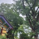영월암 - 1097 | 이천 가볼만한곳 영월암, 조용한 힐링 사찰과 풍경 후기