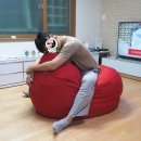 폴리몰리 이미지
