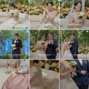 피오라스냅 이미지