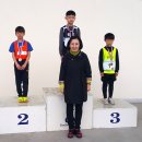 충북 금릉초등학교 충주신문