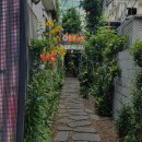 장독대 쌈밥 생고기 이미지