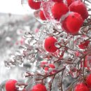 제이드스크린골프 이미지