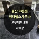 현대헬스사우나 이미지