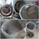 가월가물치 이미지