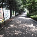 도당한의원 이미지