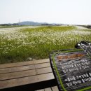 힐링캠프카라반 이미지