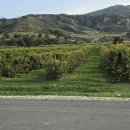 호수로126번길 이미지