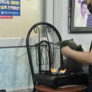 금성식당 네이버블로그