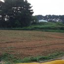 세안농장 이미지