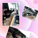 청산축산 이미지