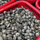 바지락듬뿍칼국수 이미지